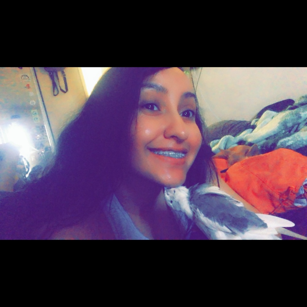 Meet your Posher, Dee